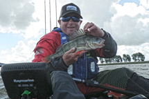 Perch-3.jpg Perch-3.jpg